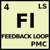 Fl : Feedback Loop